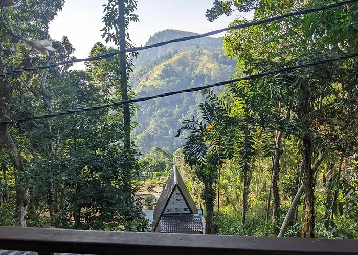 Ella Nature Nest