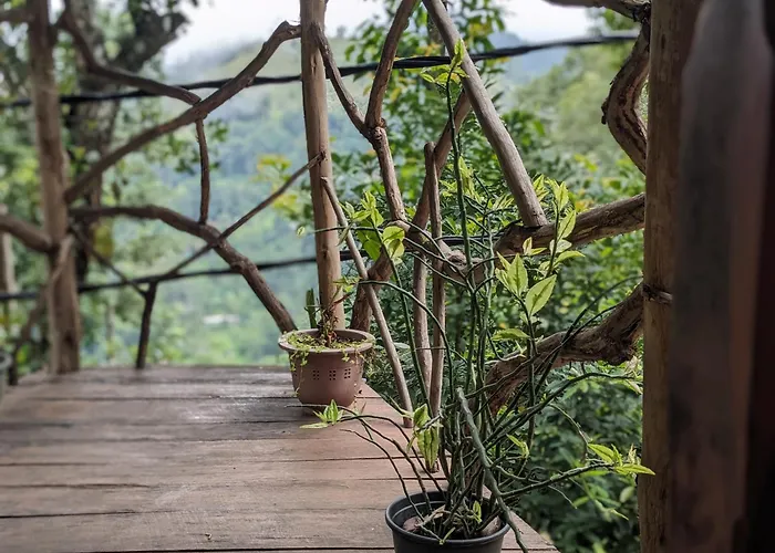 Ella Nature Nest
