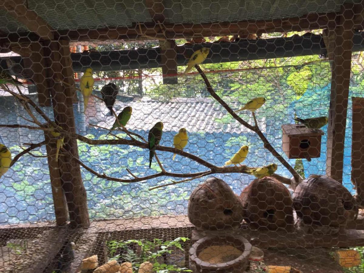 Проживання в сім'ї Nature Nest *