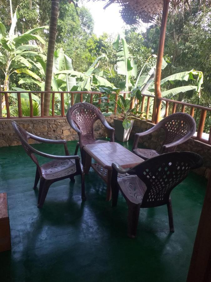 Nature Nest Privatunterkunft Ella